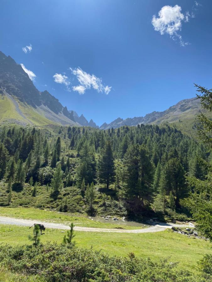 Apart Wiesenplatzl Kaunertal Exteriör bild