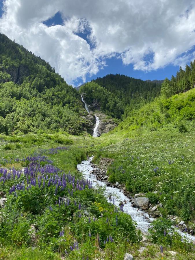 Apart Wiesenplatzl Kaunertal Exteriör bild